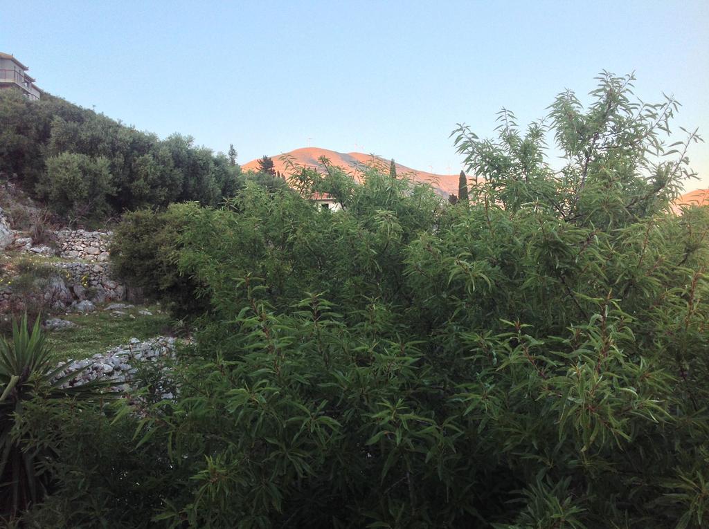 Asteras Studios Argostolion Dış mekan fotoğraf